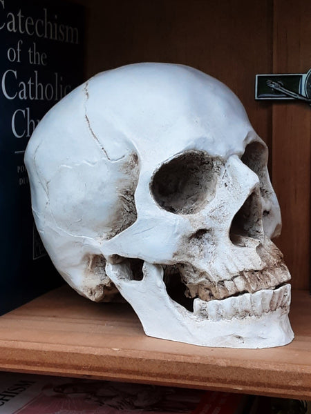Memento Mori skull white Catholic