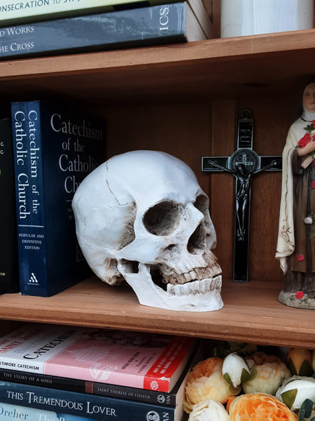 Human skull on bookshelf catholic St Benedict memento Mori